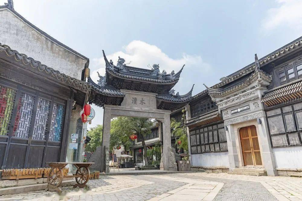 可爱小猫向上跳